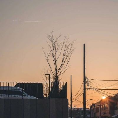 诺亚体育app下载安装手机版最新