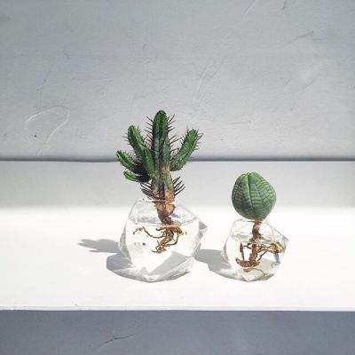 im电竞手机app下载截图