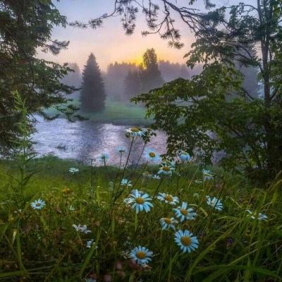 澳门·威斯尼斯wns888入口