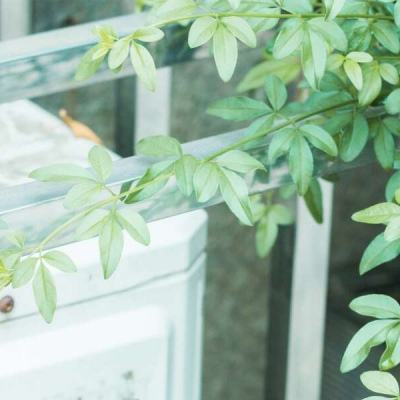 鸭脖app下载app下载